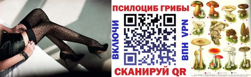 Галлюциногенные грибы Cubensis как найти наркотики Камешково